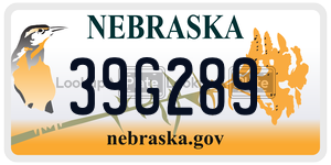 39G289  license plate in NE