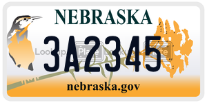 3A2345  license plate in NE