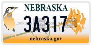 3A317  license plate in NE