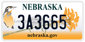 3A3665  license plate in NE