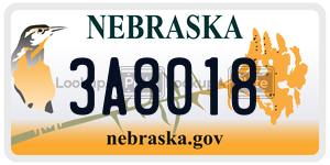 3A8018  license plate in NE