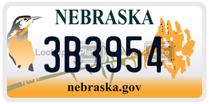 3B3954  license plate in NE