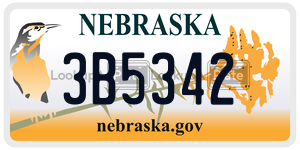 3B5342  license plate in NE