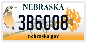 3B6008 license plate in Nebraska