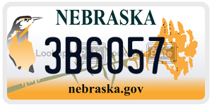 3B6057  license plate in NE