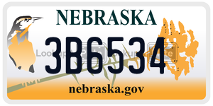 3B6534  license plate in NE
