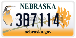 3B7114  license plate in NE