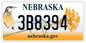 3B8394  license plate in NE