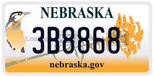 3B8868  license plate in NE