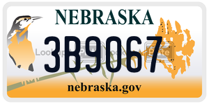 3B9067  license plate in NE