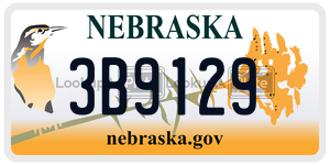 3B9129  license plate in NE
