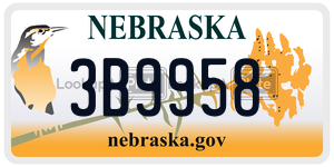 3B9958  license plate in NE
