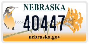 40447  license plate in NE