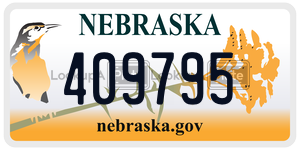 409795  license plate in NE