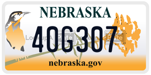 40G307  license plate in NE