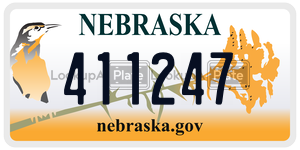 411247  license plate in NE