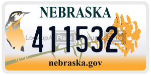 411532  license plate in NE