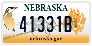 41331B  license plate in NE