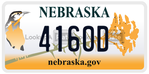 4160D  license plate in NE