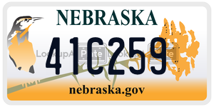 41C259  license plate in NE