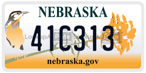 41C313  license plate in NE