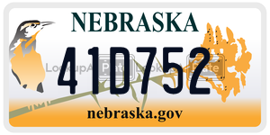 41D752  license plate in NE