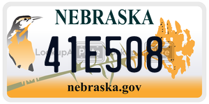 41E508  license plate in NE