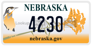 4230  license plate in NE