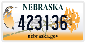 423136 license plate in Nebraska