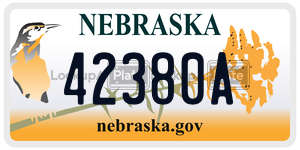 42380A  license plate in NE