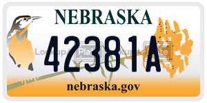 42381A license plate in Nebraska