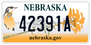 42391A  license plate in NE