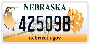 42509B  license plate in NE