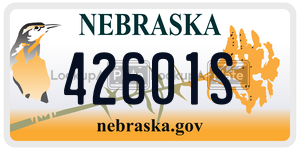 42601S  license plate in NE