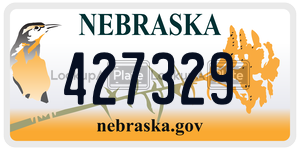 427329  license plate in NE