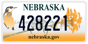 428221  license plate in NE