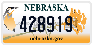 428919  license plate in NE