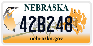 42B248  license plate in NE