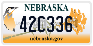 42C336  license plate in NE