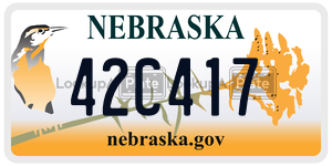 42C417  license plate in NE