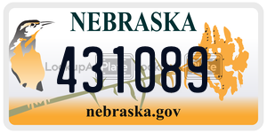 431089  license plate in NE