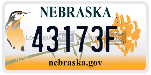 43173F  license plate in NE