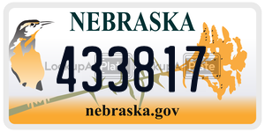 433817  license plate in NE
