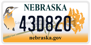 43D820  license plate in NE