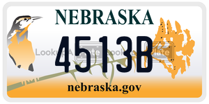 4513B  license plate in NE