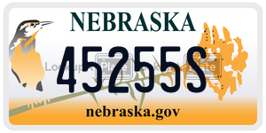 45255S  license plate in NE