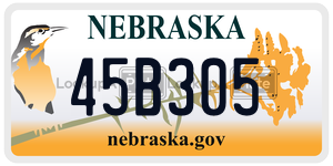 45B305  license plate in NE