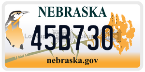 45B730 license plate in Nebraska
