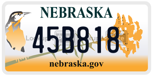 45B818  license plate in NE