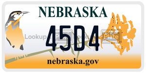 45D4  license plate in NE